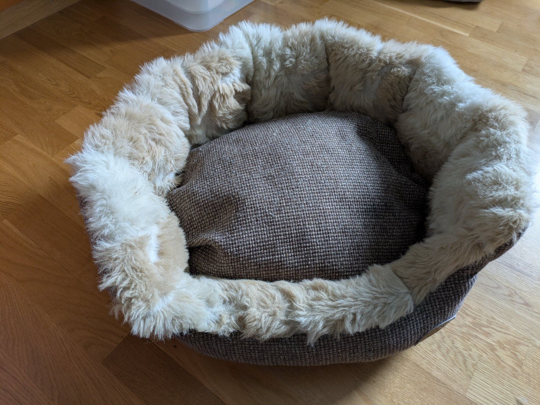 Liege- & Schlafplätze: Hunde- oder Katzenbett – Gebraucht aus Trin Mulin von iri_bb7c