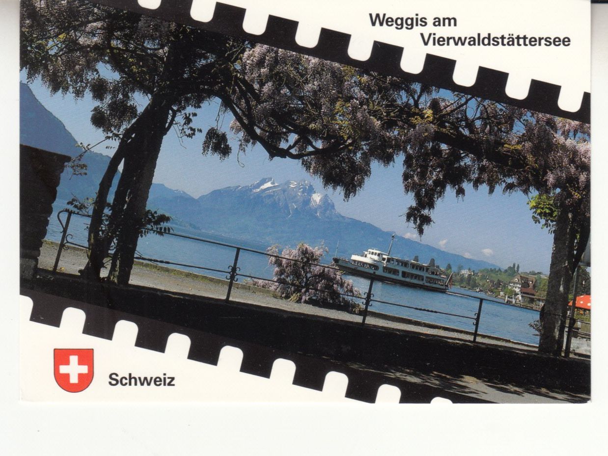 Cartes postales: Weggis 1993 – D'occasion à Bürglen TG par StampGraf