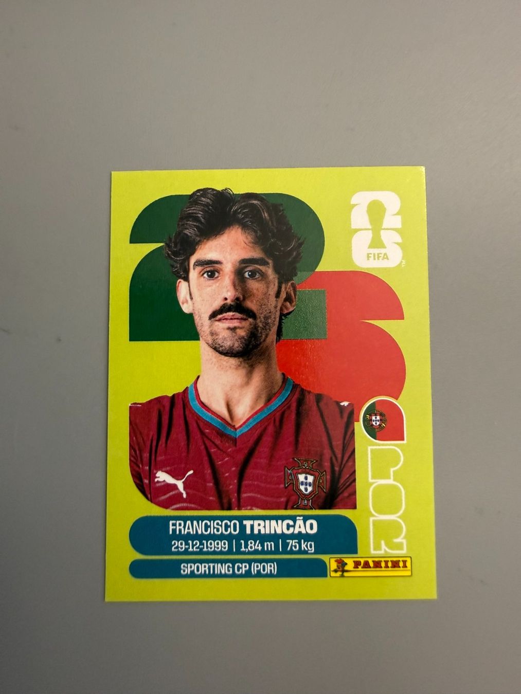 Panini Carte collezionabili: Panini Francisco Trincao POR16 – Usato da Liebefeld venduto da Ronaldo-1996