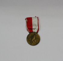 Bronze-Medaille 100 Jahre Schweizer Bundesstaat
