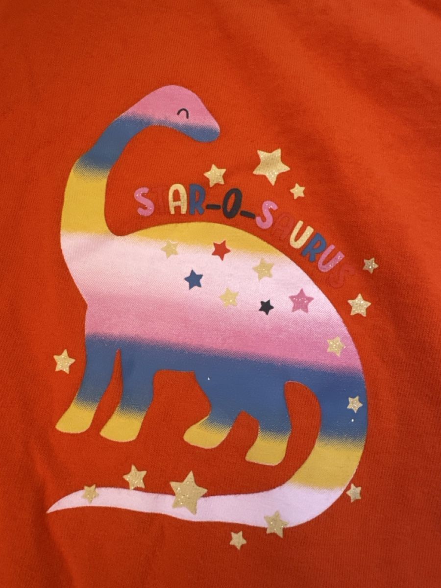 Maglioni & Felpe: Langarmshirt orange Dinosaurier Grösse 104 – Nuovo (secondo la descrizione) da Zürich venduto da Belisimo 1