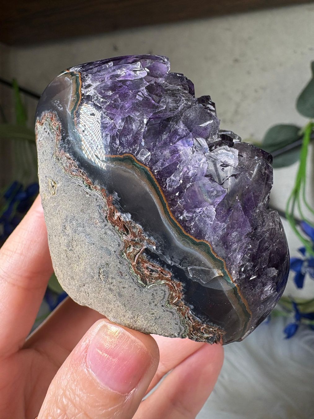 Pietre preziose: Uruguay Amethyst in Super-Qualität – Nuovo (secondo la descrizione) da Neuheim venduto da m.hald 3