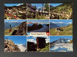 AK Fiesch Kühboden Eggishorn