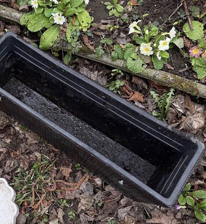 Vasi per fiori: Pflanzentöpfe – Usato da Bern venduto da mystyle_bern 1