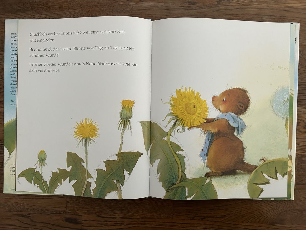 Libri: Das verspreche ich dir - Kinderbuch Frühling! – Nuovo (secondo la descrizione) da Wolhusen venduto da eve_m6cg 1