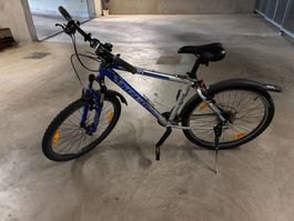 Herren-Velo Marke TREK