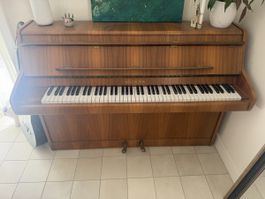 Klavier Wellington Holz, 60 Zeichen