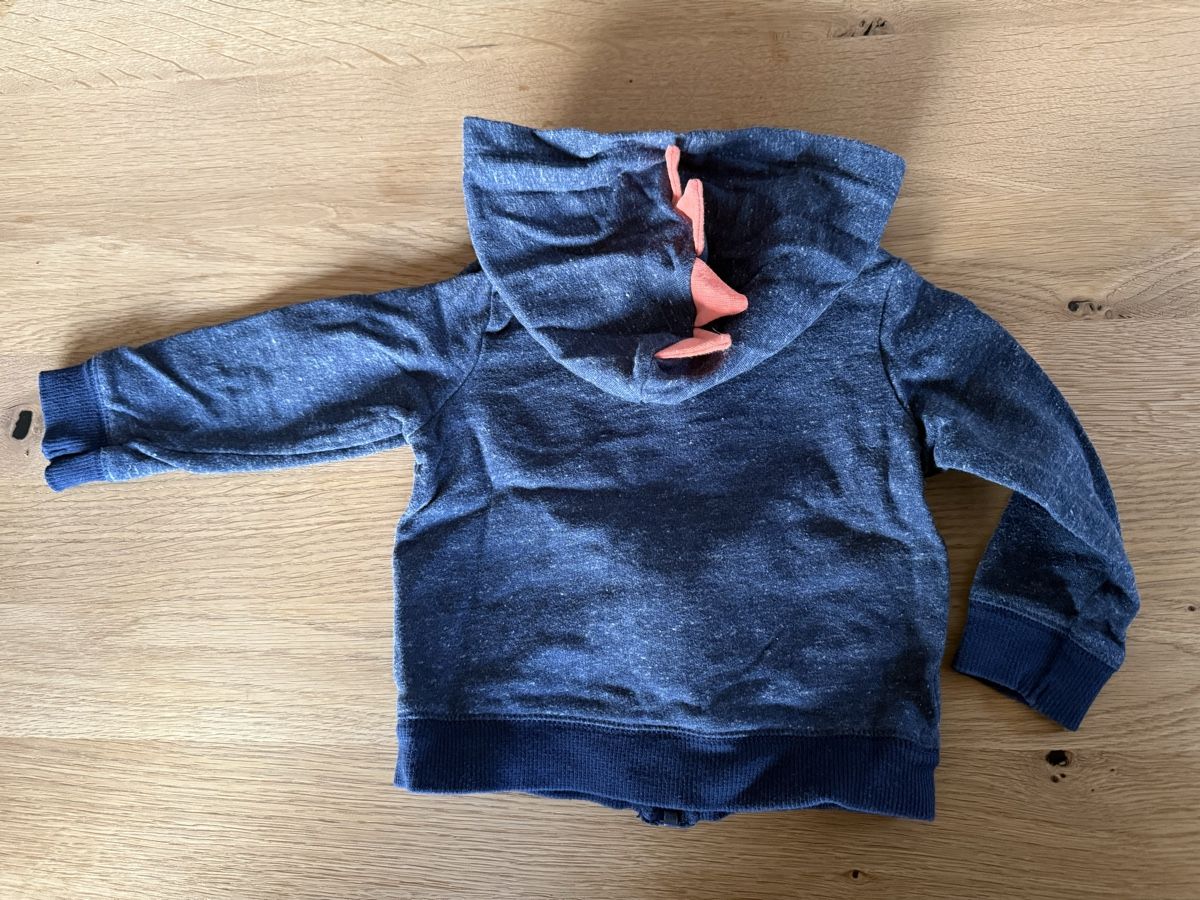 Carter's Maglioni & Felpe: Zip Hoodie con Carters Grösse 18M – Usato da Goldswil venduto da Fisel 1