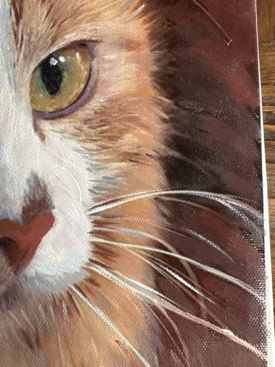 Dipinti: Original Gemälde Katze nicht signiert – Nuovo (secondo la descrizione) da Basel venduto da Joshy03 2