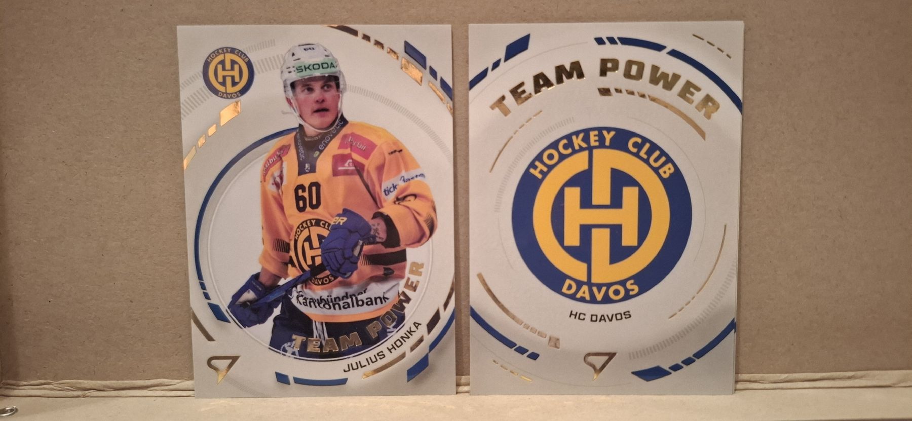 Sportzoo Carte collezionabili: Cartes Team Power HC Davos – Nuovo (secondo la descrizione) da Aigle venduto da vir_lb2c