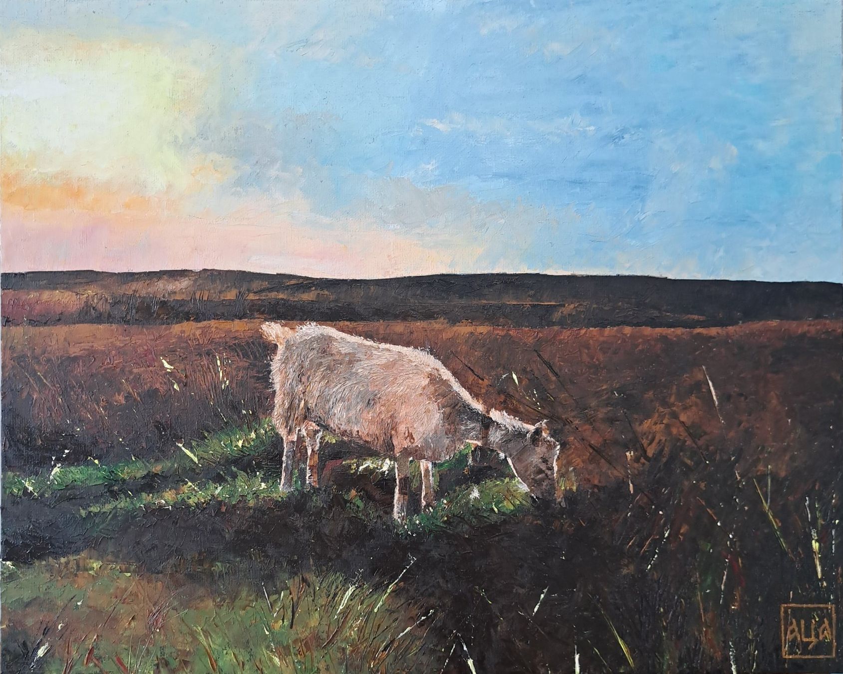 Dipinti: Öl auf Leinwand  - Abendfrieden – Usato da Oberentfelden venduto da jablan_art