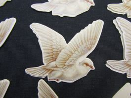 Gruss-Kärtli DOVE GIFT