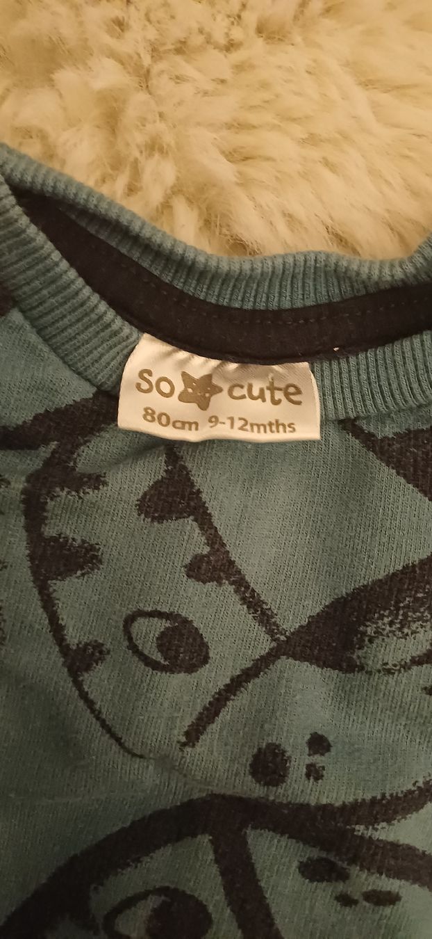 Pulls et sweat-shirts: Cooler Dino-Pulli, Grösse 80 – D'occasion à Riniken par Lessy- 1