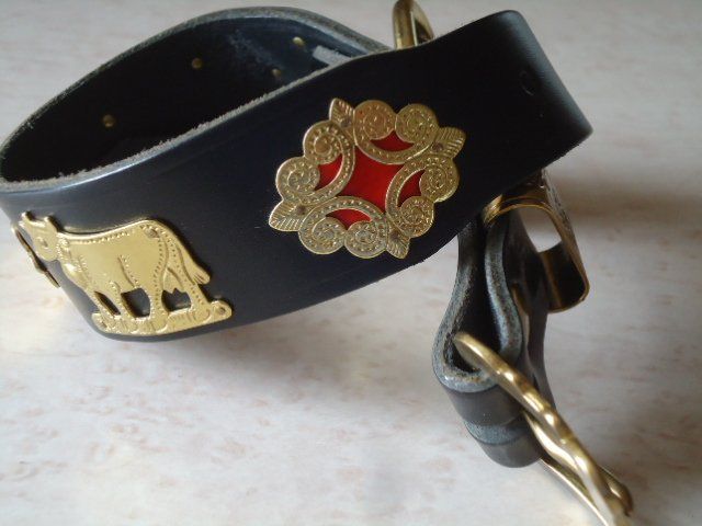 Guinzagli & Collari: Appenzeller Hundehalsband – Nuovo (secondo la descrizione) da Stein AR venduto da dylesi 2
