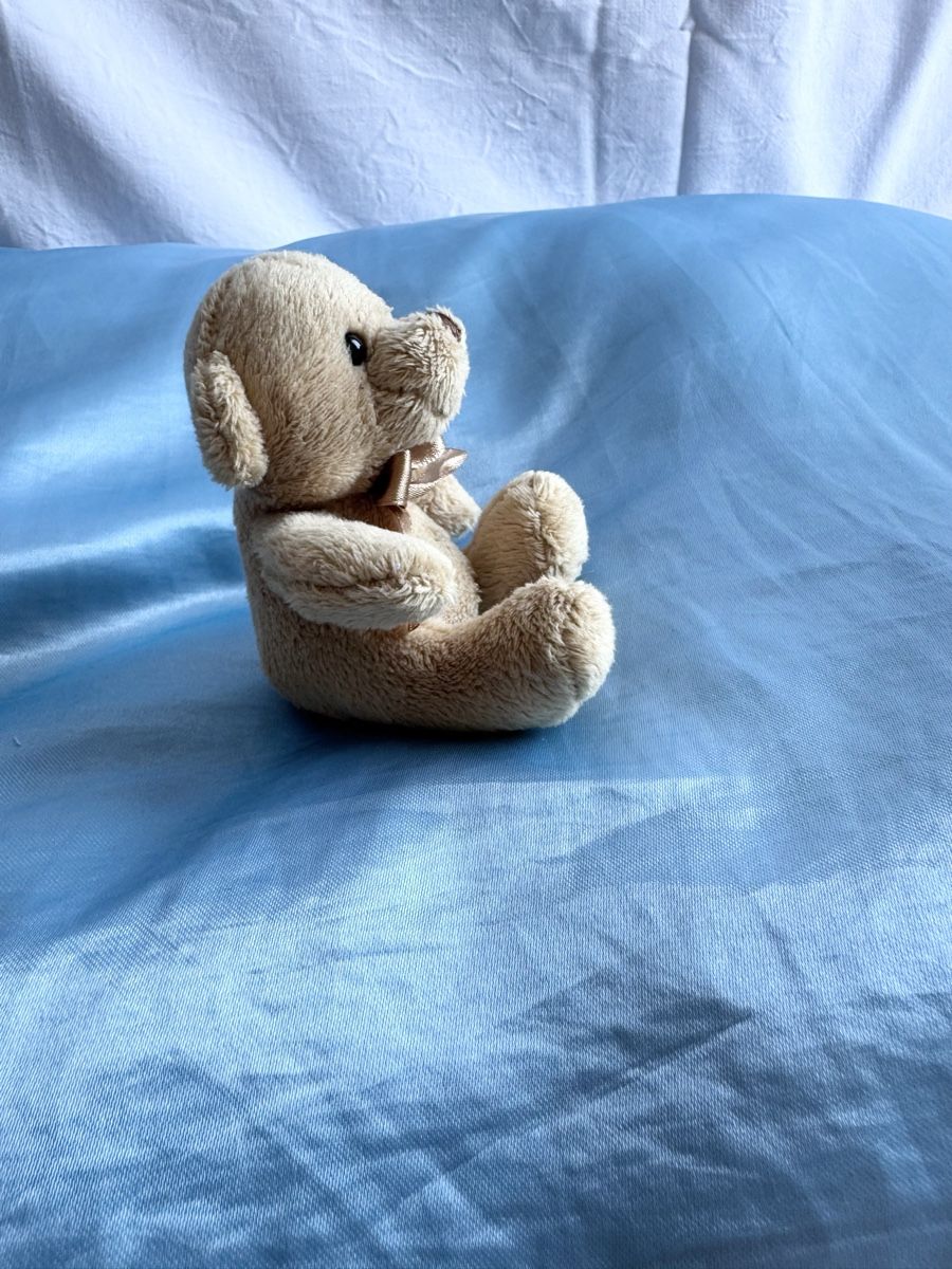 Spielzeuge: Teddy  – Gebraucht aus Bern von ava_l8tk 1