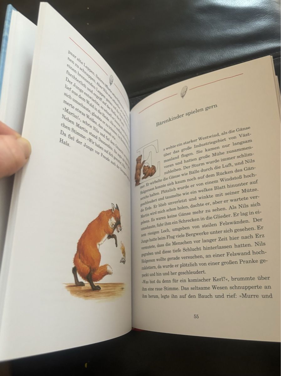 Livres: Nils Holgerssons Reise - Kinderbuch – D'occasion à Zermatt par Tinasvoyage 4