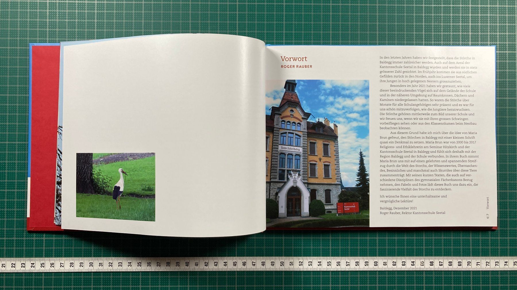 Libri: Maria Brun: STORCH, Schul- und Klosterbezirk Baldegg – Usato da Lenzburg venduto da fh1 2