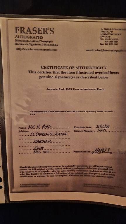 Giocattoli: JURASSIC PARK Authentique Dent du T-Rex – Usato da Sembrancher venduto da did_mkx2 3