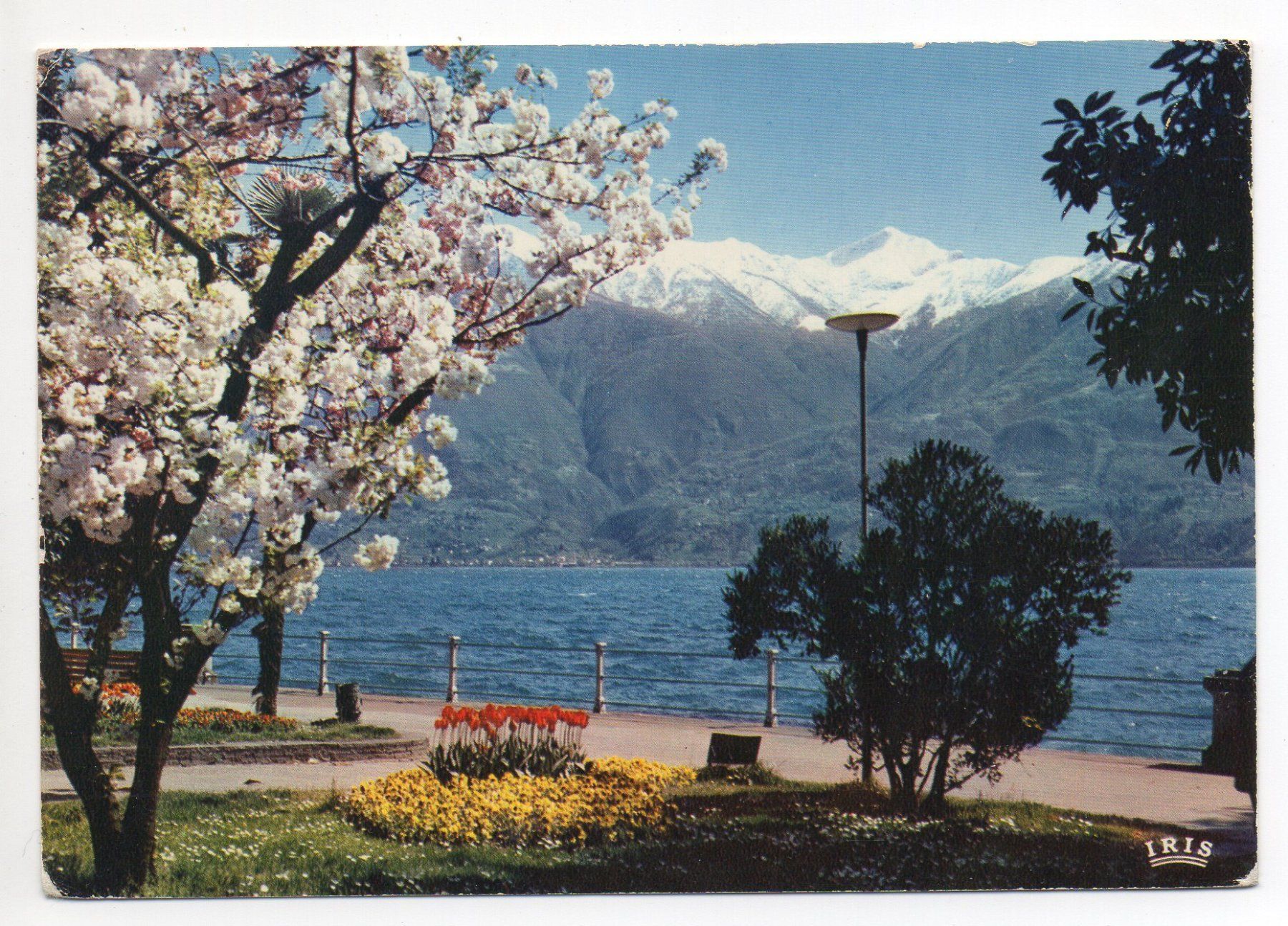 Cartes postales: LOCARNO – D'occasion à Jona par philajona