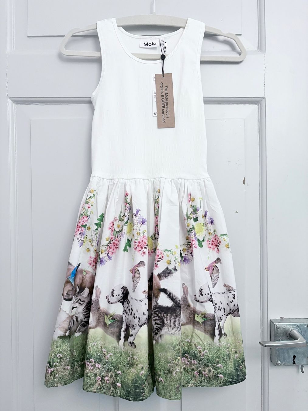 Molo Vestiti & Gonne: Molo, Kleid, 146/152, neu, Cotton – Nuovo e nell'imballaggio originale da Zürich venduto da Pokimoki_1