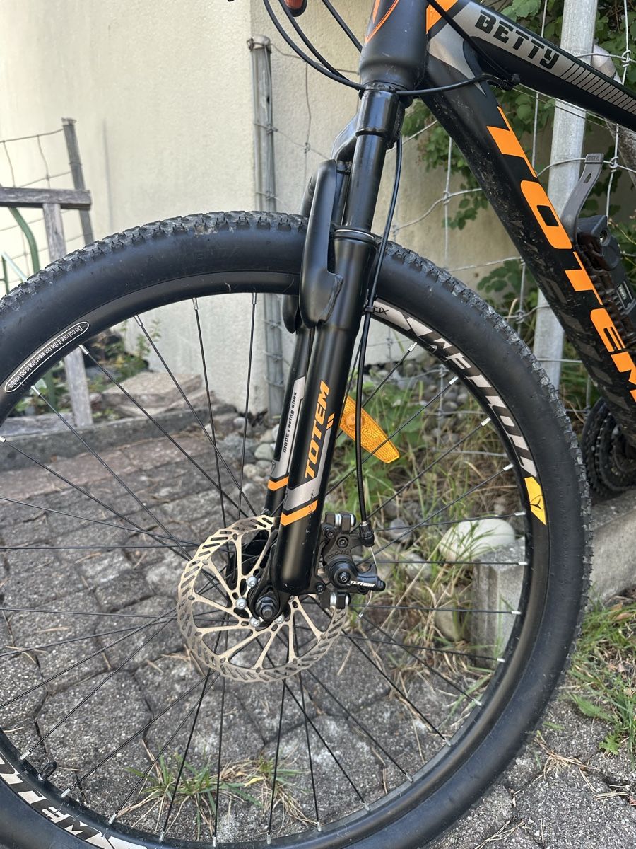 Totem Velos: MTB TOTEM  – Defekt aus Zürich von Alek7 6