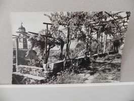 AK alte Postkarte "Brione sopra Minusio"