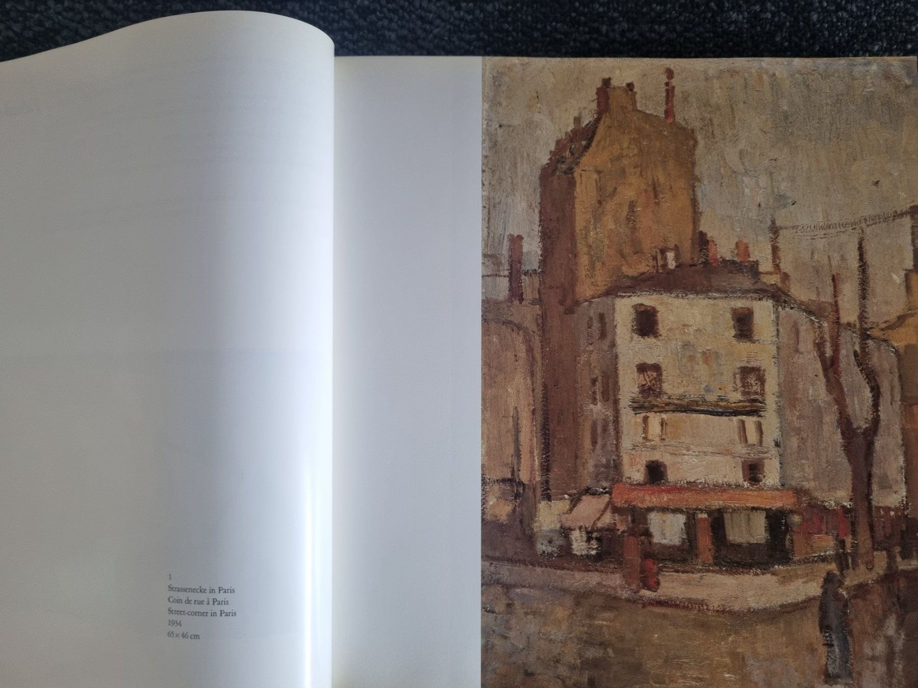 Libri: Ernst Baumann - Ein Schweizer Maler, Kunstbuch Basel – Usato da Lenzburg venduto da freedomky 6
