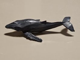 Tonies Was ist was - Wale und Delfine, Tonie Figur