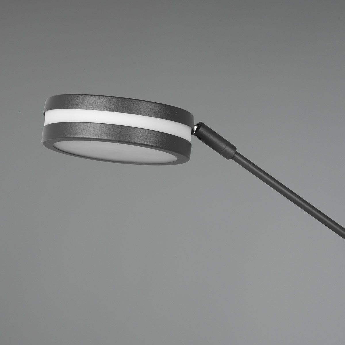 Lampade: LED Stehleuchte, Anthrazit, Dimmer, CCT – Nuovo (secondo la descrizione) da Kreuzlingen venduto da Smart-Light 8