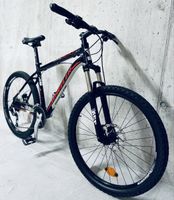 Wheeler Mountainbike