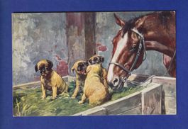 CHEVAL et CHIEN / PFERD und HUND