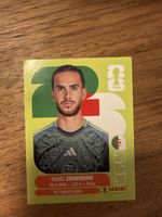 Panini Fifa ALG 11
