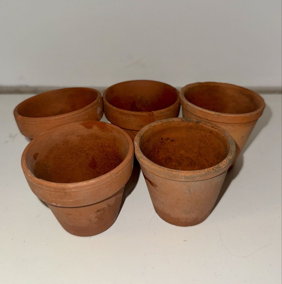 Vasi per fiori: 5x Mini Terrakotta Blumentöpfe DM 6cm – Usato da Zürich venduto da jul_l6kx