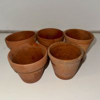 5x Mini Terrakotta Blumentöpfe DM 6cm