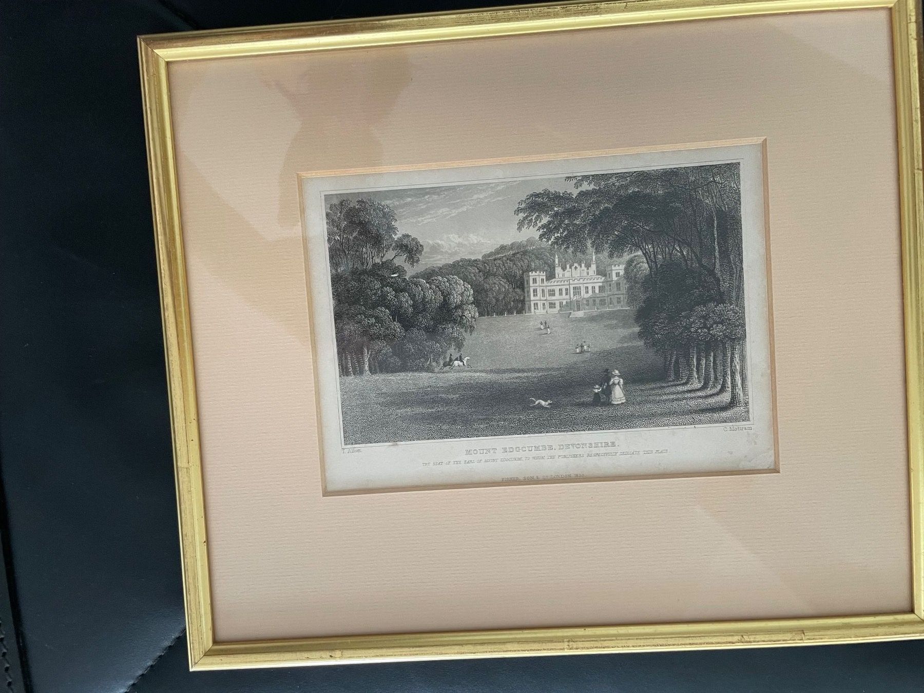 Incisioni: Stich England, Mount Edgcomb, Devonshire, 1810 – Usato da Winterthur venduto da Myrtillus 1