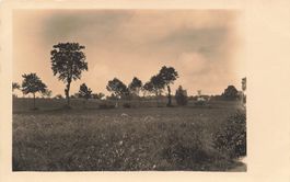 Berner Mittelland (BE) – Ländliche Landschaft