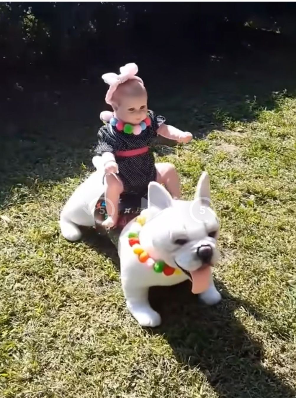 Jouets: French  Bulldog  Plüsch – Neuf (Voir description) à Castagnola par Cat-WomenX 8