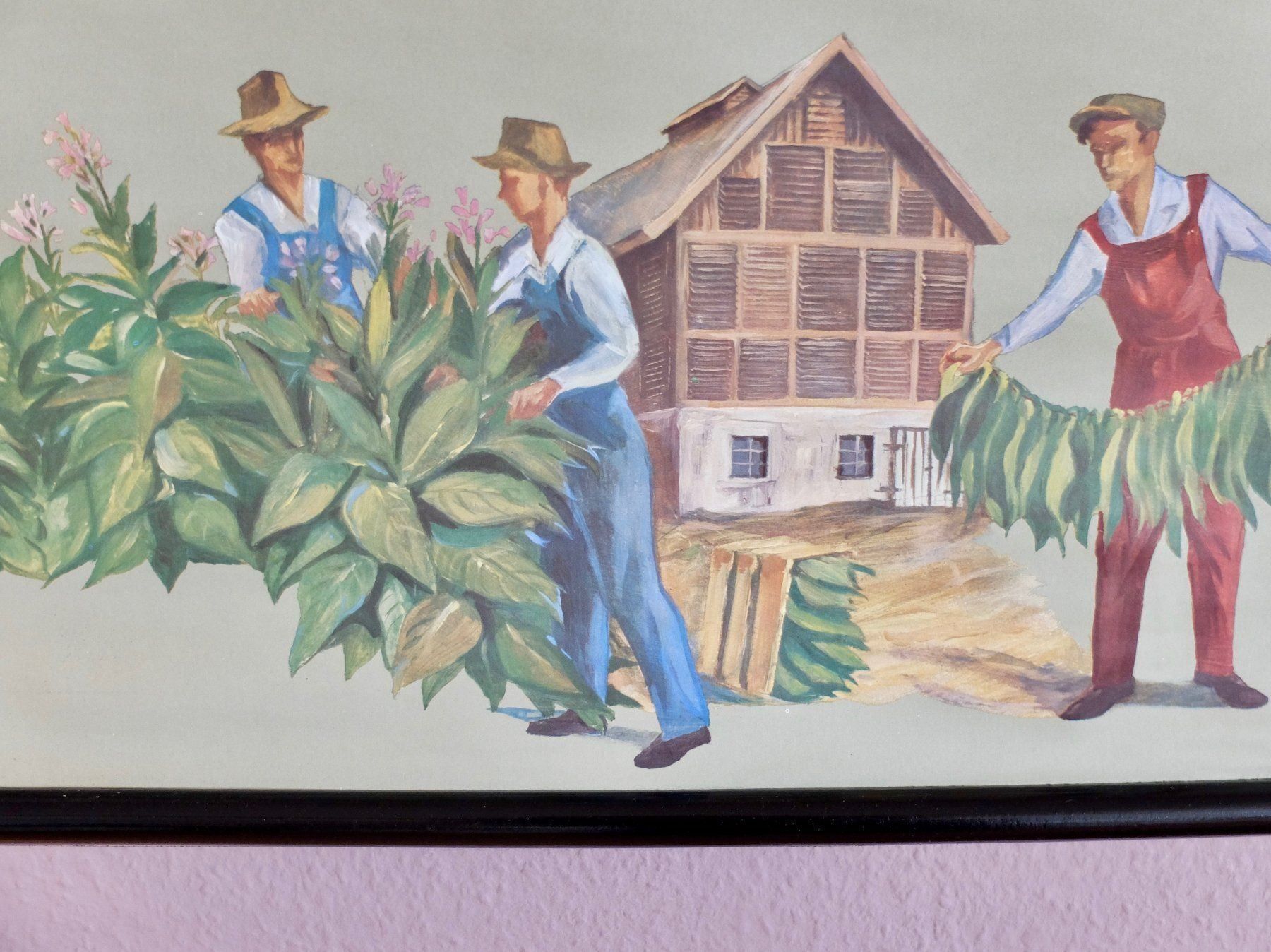 Posters & Illustrations: SCHULWANDBILD - TABAK – D'occasion à Goldach par Gaip 1