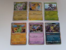 6-teiliges Set aus englischen Holo und Reverse Holo Rare 