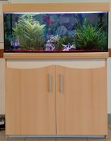 Aquarium mit Unterschrank inkl. Fischen und Zubehör