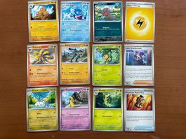 Pokemon 12er Karten Set (Versand gratis)