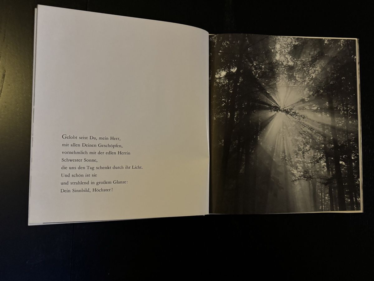 Libri: Franz von Assisi - Der Sonnengesang – Usato da Erstfeld venduto da Mario_boe0 4