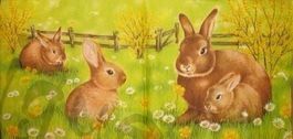 Serviette hasenfamilie (o45)