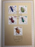 Deutschland 1993 Satz Jugend Käfer Ersttagsblatt