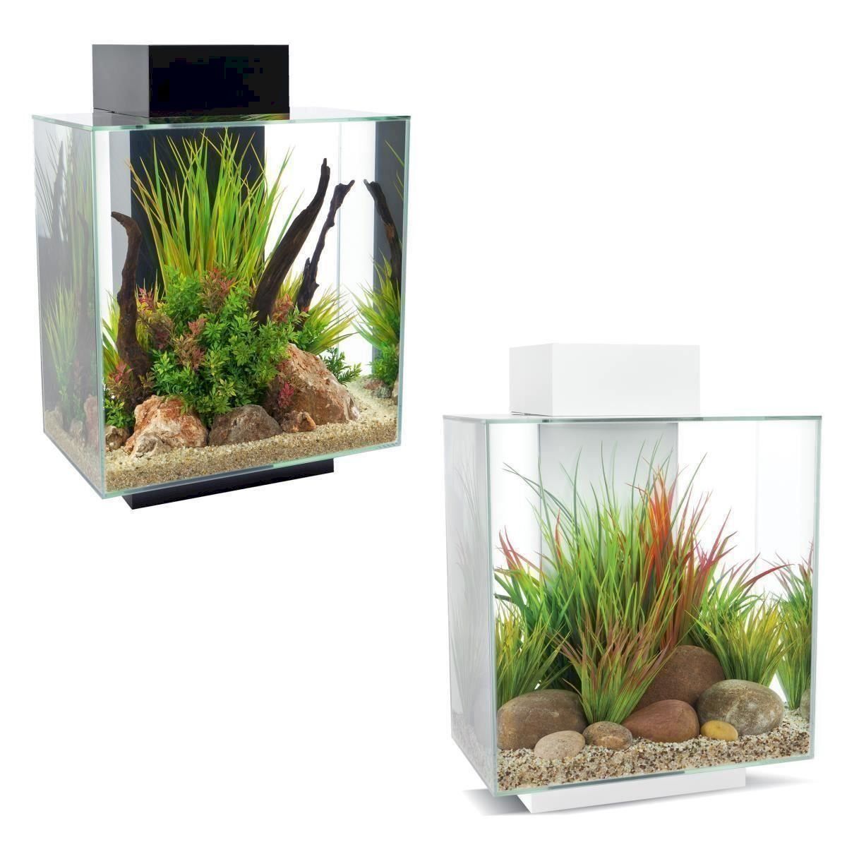 Aquarium: Fluval 15038 Edge 2.0 46l Aquarium Set – Neu und originalverpackt aus Bottighofen von zaap 2