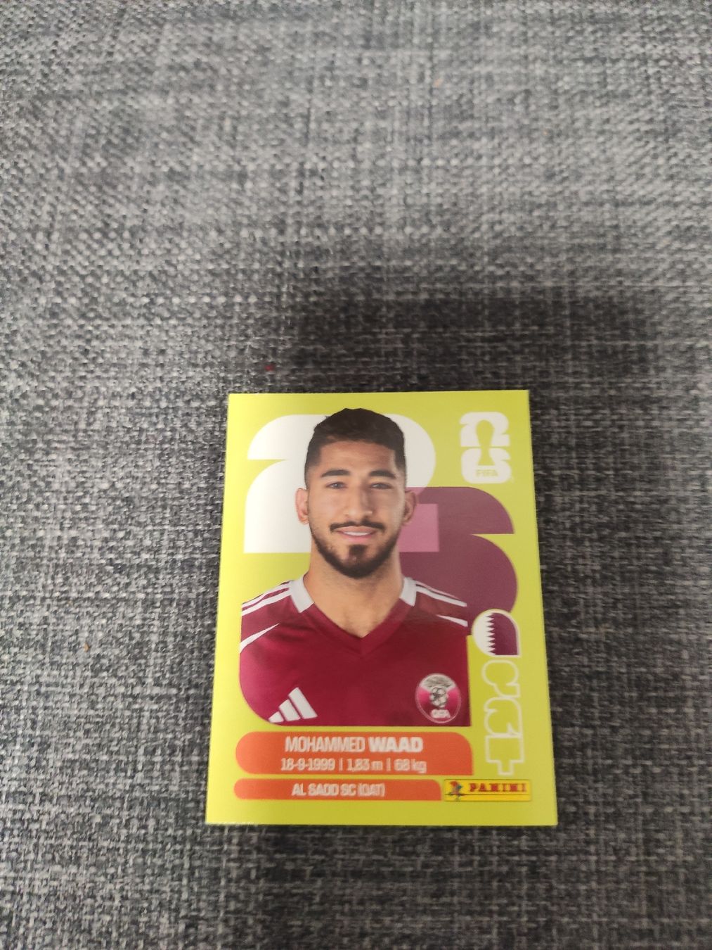 Panini Cartes à collectionner: panini QAT 14 – D'occasion à Ettenhausen TG par danielhoop