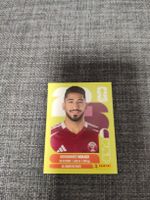 panini QAT 14