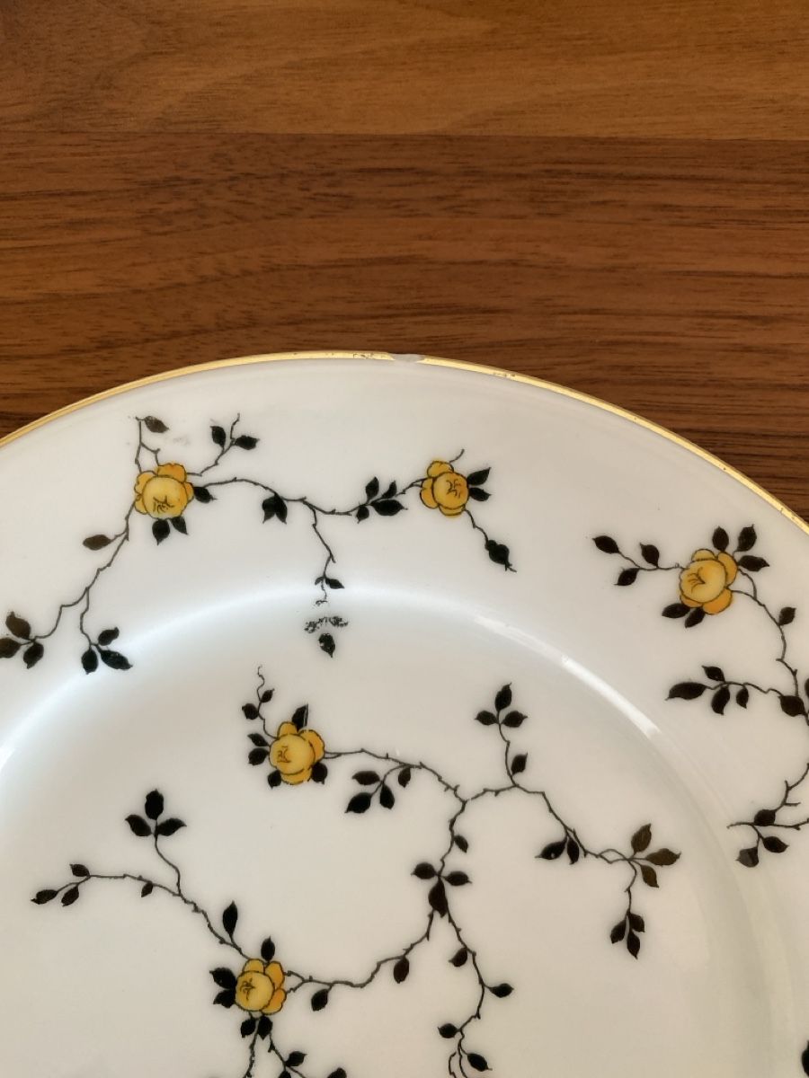 Set di piatti: Tirschenreuth - Kaffee-Service 12-teilig – Usato da Luzern venduto da Gustav-33 4