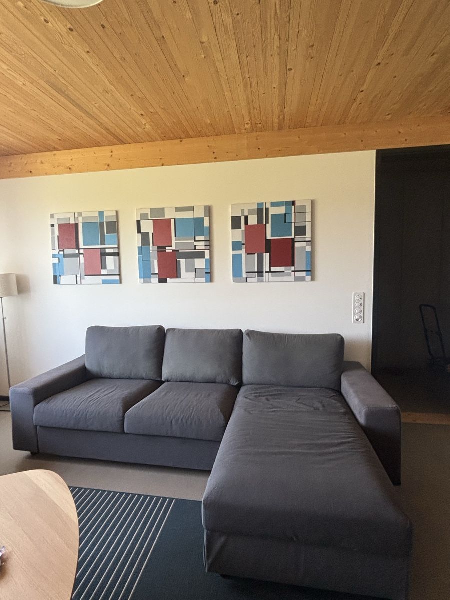 Ikea Sofas: IKEA couch CHF 200  | Urgently selling due to moving – Gebraucht aus Cham von helike 1