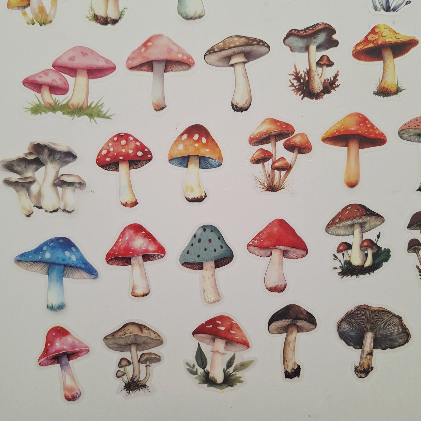 Sticker: 50 Aufkleber Sticker - Pilze – Nuovo e nell'imballaggio originale da Basel venduto da Kunterbunt12 3